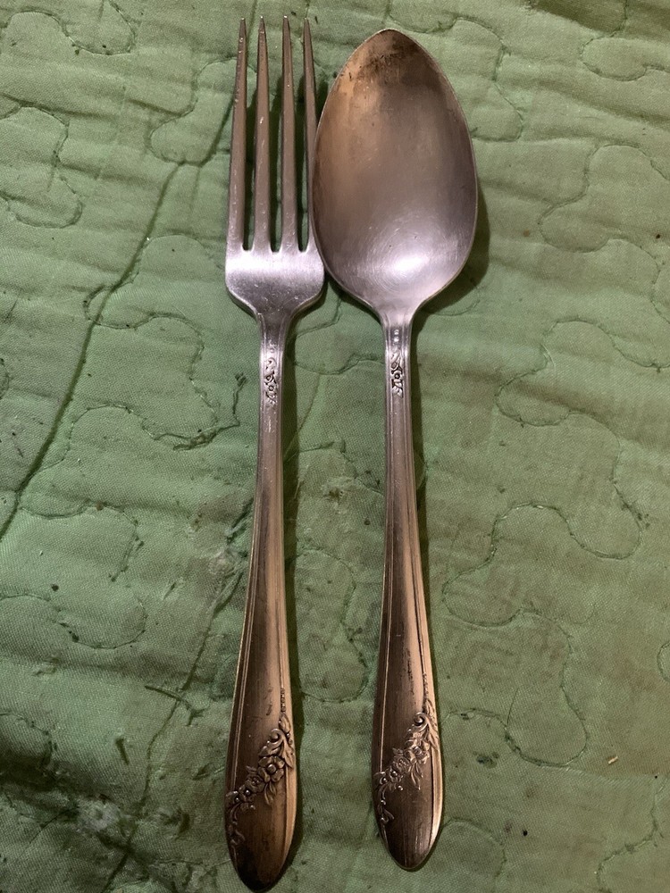 Tudor Silver Plate Fork And Spoon Bridal Wreath Pattern 🥄🍴