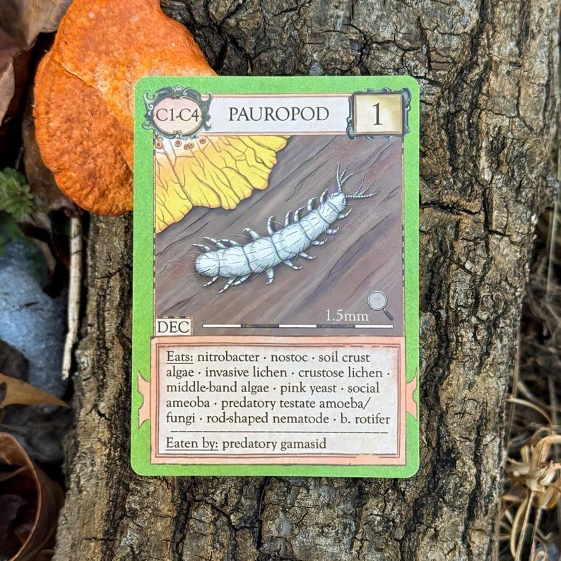 Ecologies: Marvelous Microbes - Explore Microscopic Ecosystems