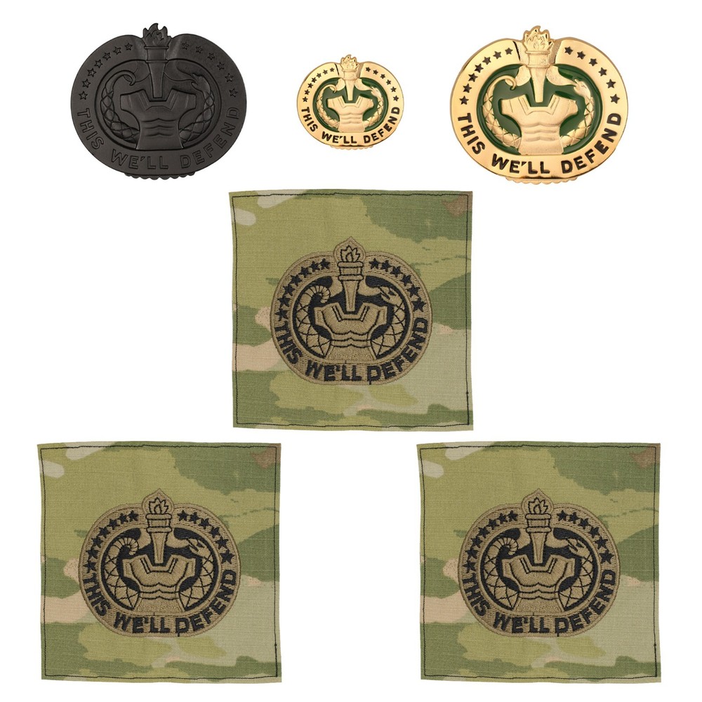 US Army Drill Sergeant Instructor Badge Bundle
