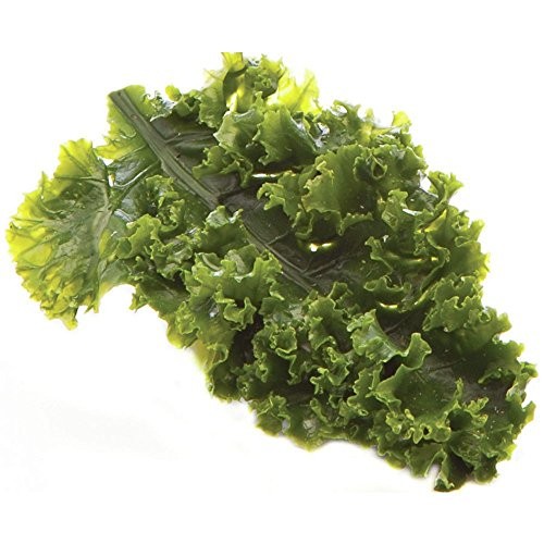 Artificial Kale Leaf Garnishing Green - 6"L