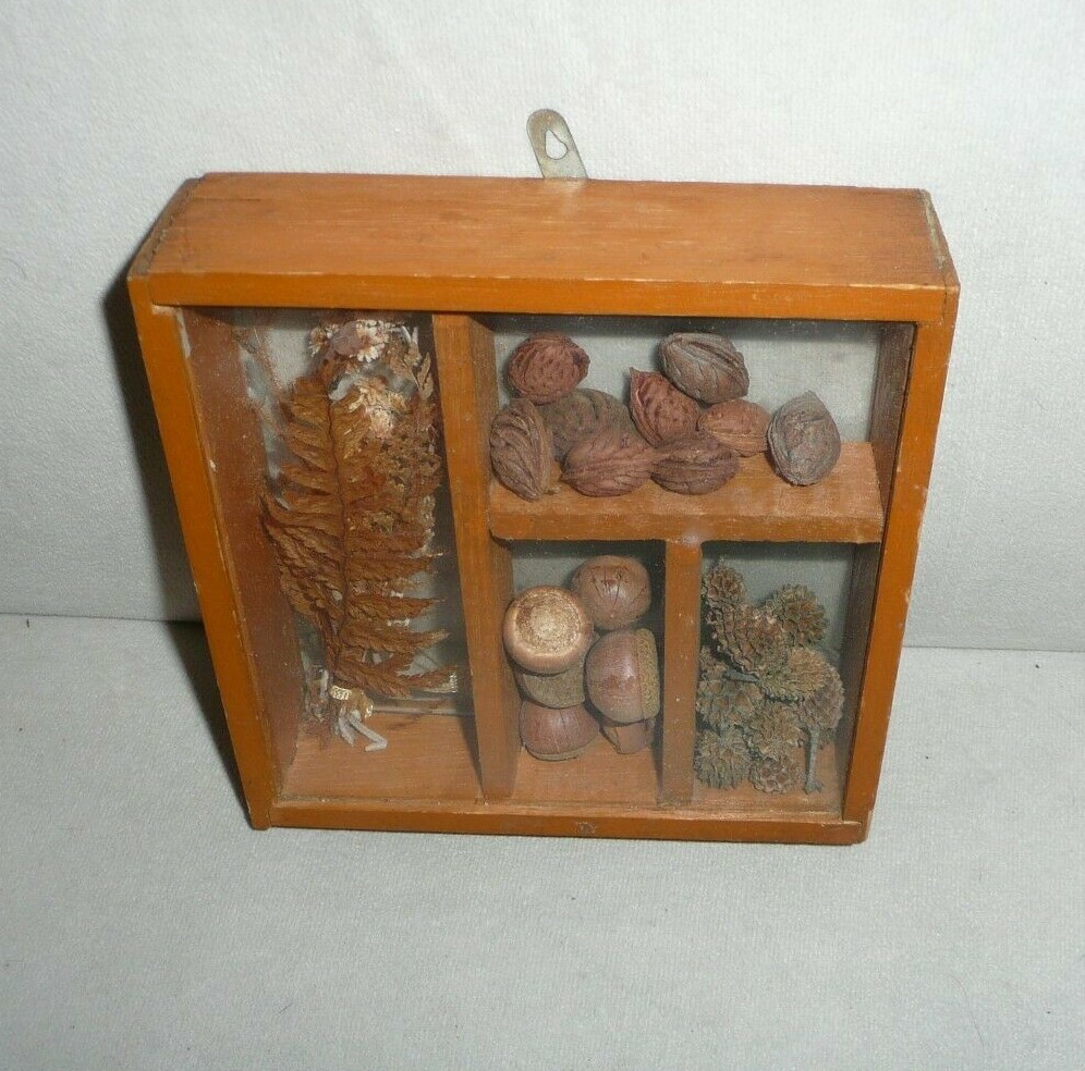 Vintage Seed Shadowbox Wall Hanging Home Décor 5.5" x 5.5"