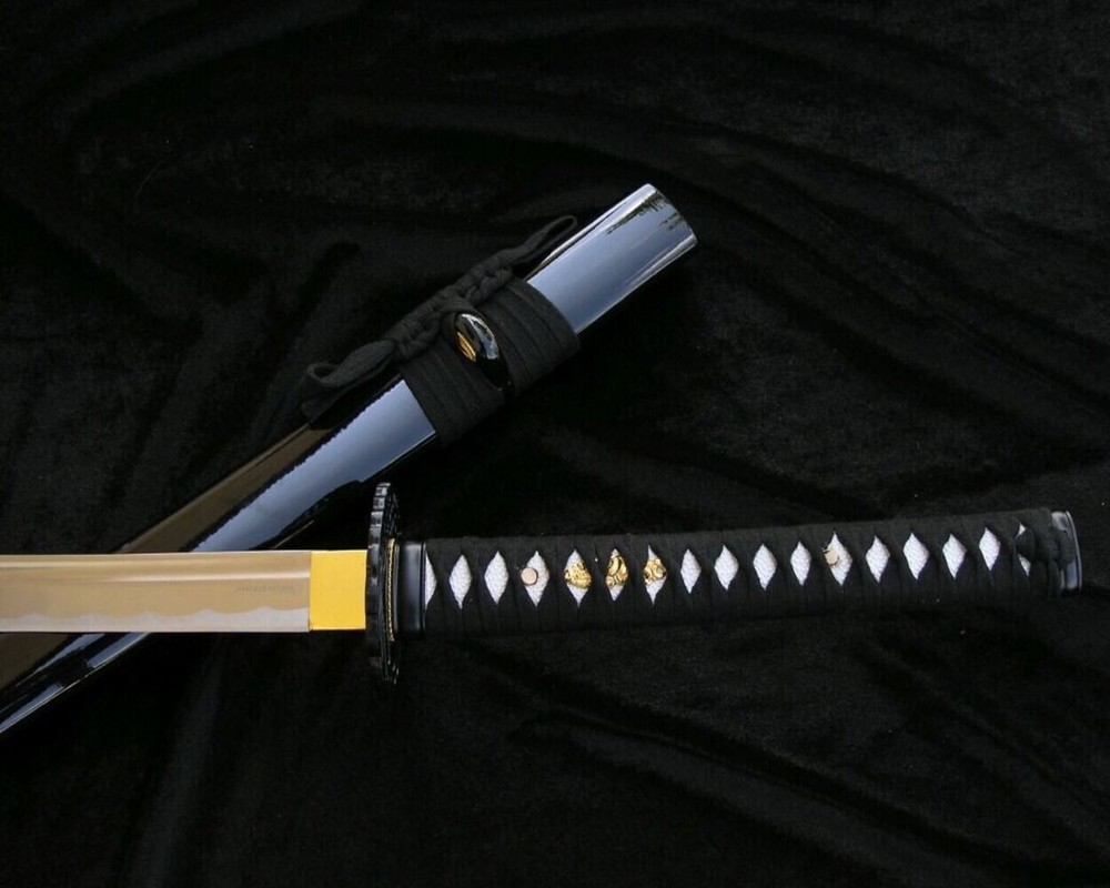 PROF KATANA TRAINING SWORD + STAND 5KN5-420