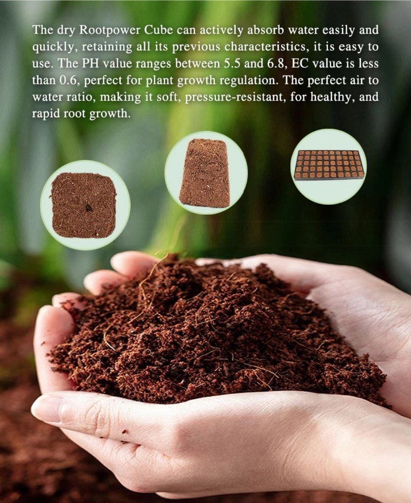 Rootpower Coco Coir Cubes for Hydroponics, Seeding, Cloning, Rosemary, Basil