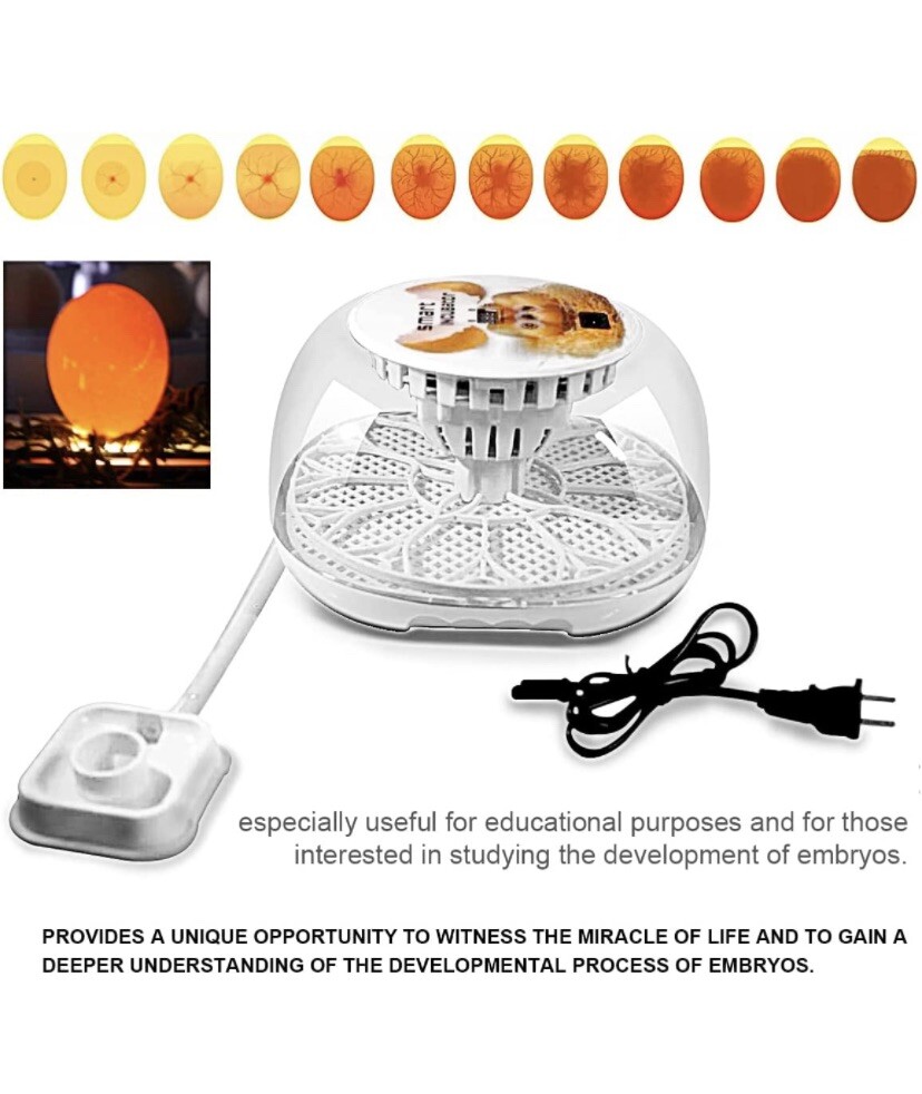 Egg Incubator 12 Eggs Incubator with Automatic Egg Turning for Hatching Eggs