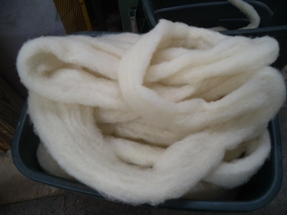 White Washed Texel Wool Roving - Free Shipping