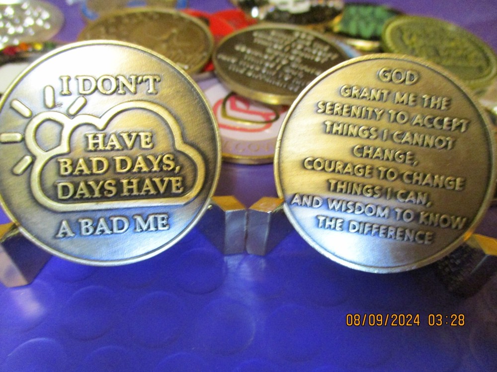 Coin Brass Chip All 12 Step Programs Medallion Surrender / Serenity