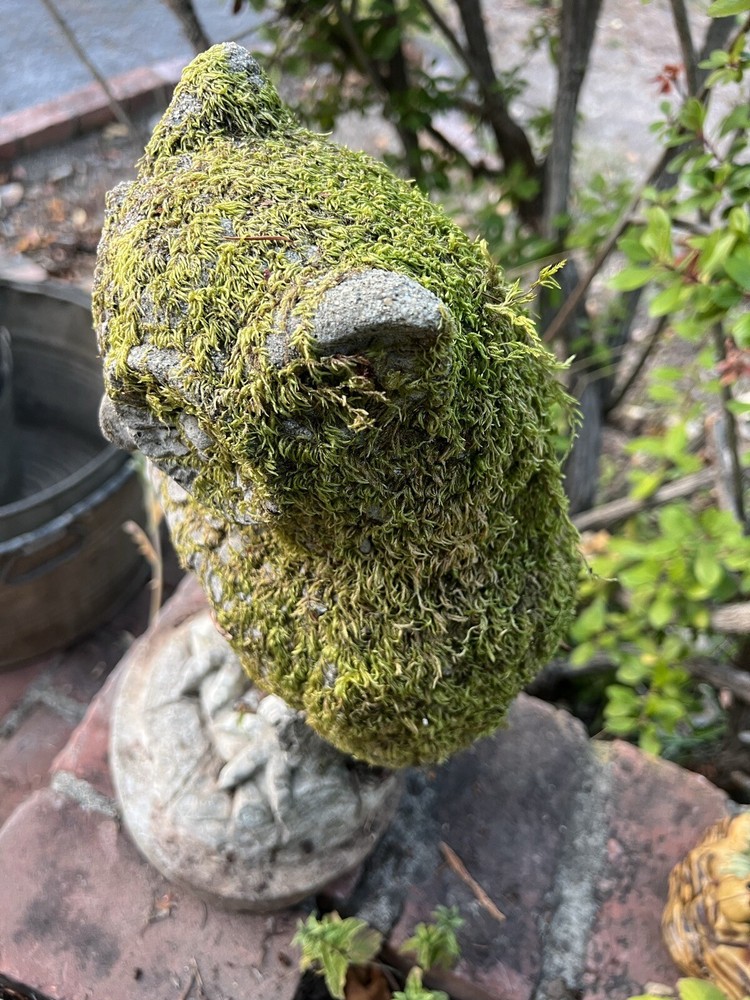 Vintage Solid Cement 17” Owl With Real Moss Growing On It