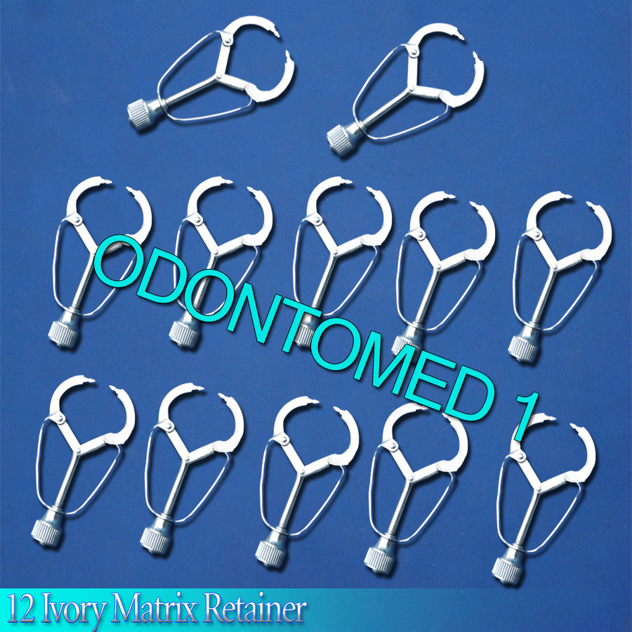 12 Ivory Matrix Retainer Dental Instruments ODM