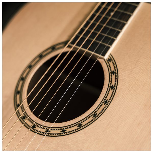 Delta Woods® DW-2™ Solid Top Dreadnought Acoustic Guitar with Case