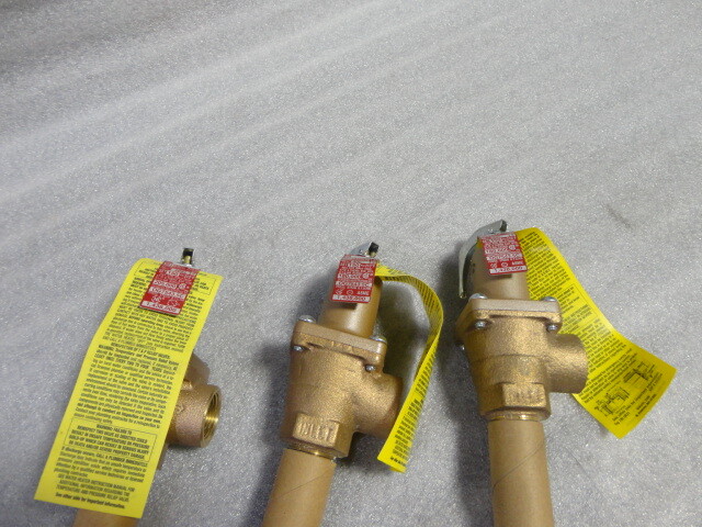 Watts 2-40L 1-40XL Automatic Reseating Temperature and Pressure Relief Valves