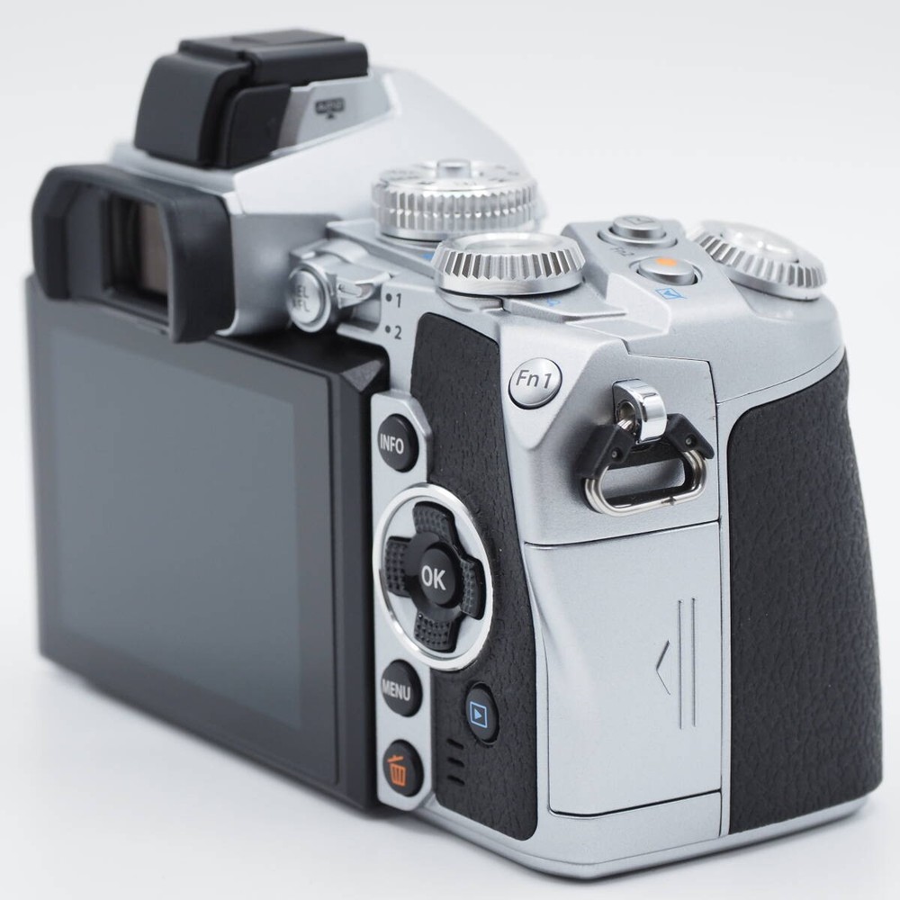 OLYMPUS OM-D E-M1 BODY SILVER 252812