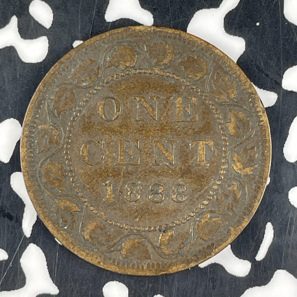 1888 Canada Large Cent Lot#F1613 Nice!