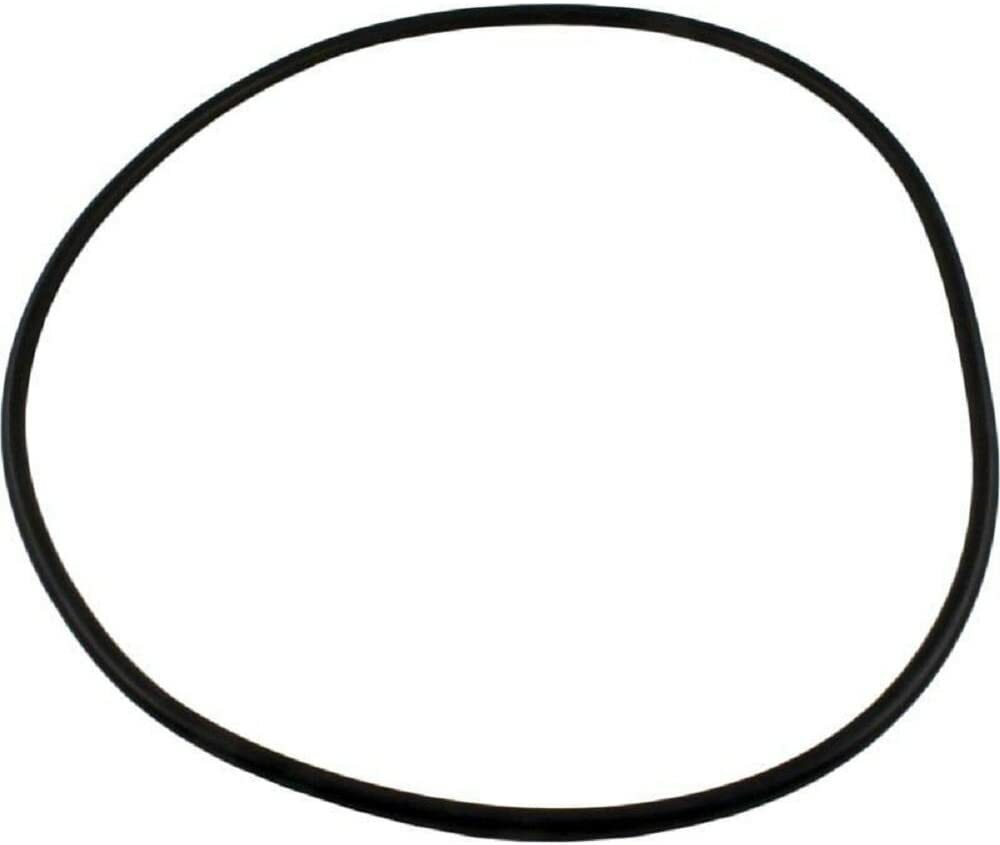 Waterway 805-0000 Replacement Crystal Water O-Ring