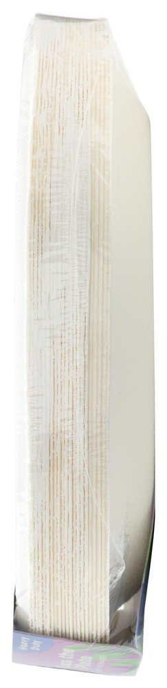 REPURPOSE Compostable 9 Inch Plates 20 Count, 20 CT