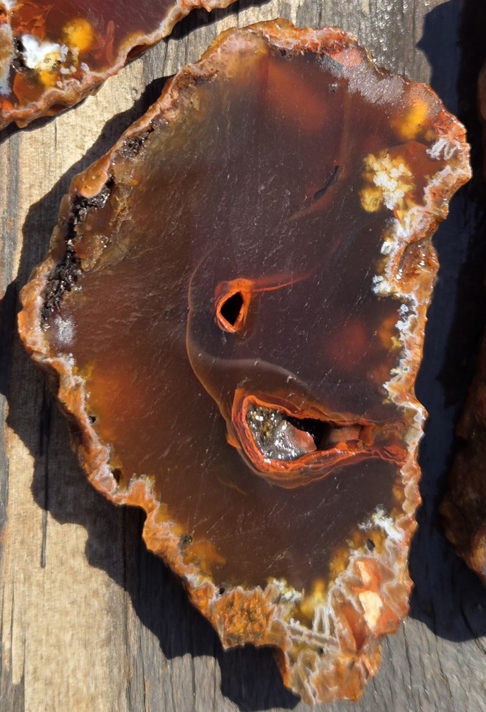 Turkish Agate Slabs Slices From One Stone Matching Lapidary Unique