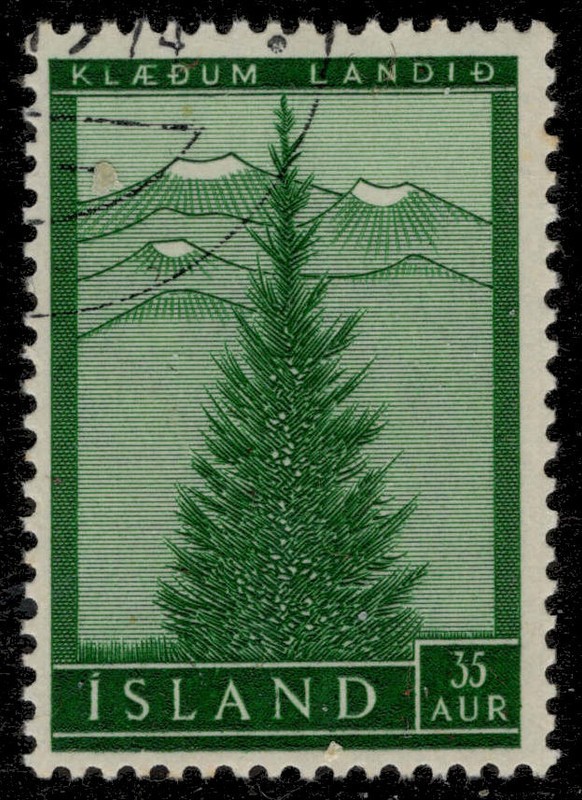 ICELAND 306 - Reforestation Program "Evergreen Tree" (pc36897)