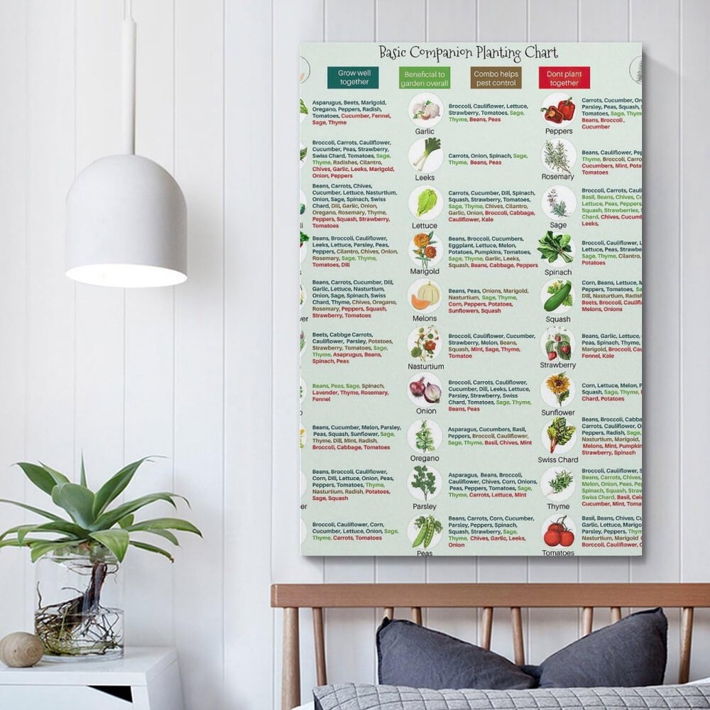 Basic Companion Planting Chart Poster Garden Planting Types Reference Guide W...