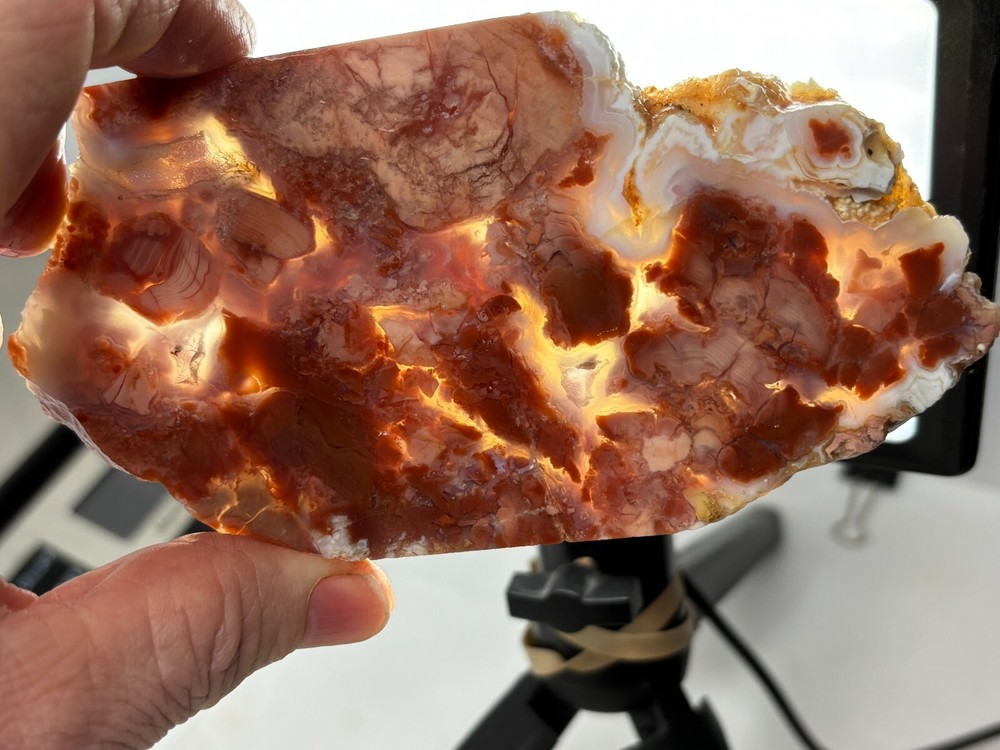Cotton Candy Agate Slab Cabbing Lapidary Collecting Combo Ship Avail
