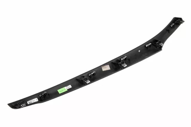 Genuine GM Center Molding 84292119