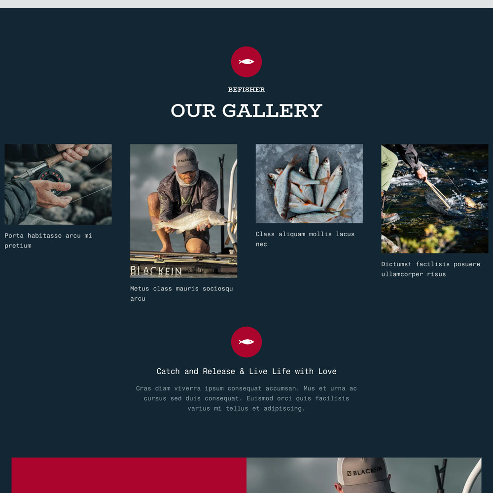 Fisher Website Design with Free VPS Web Hosting & Installation