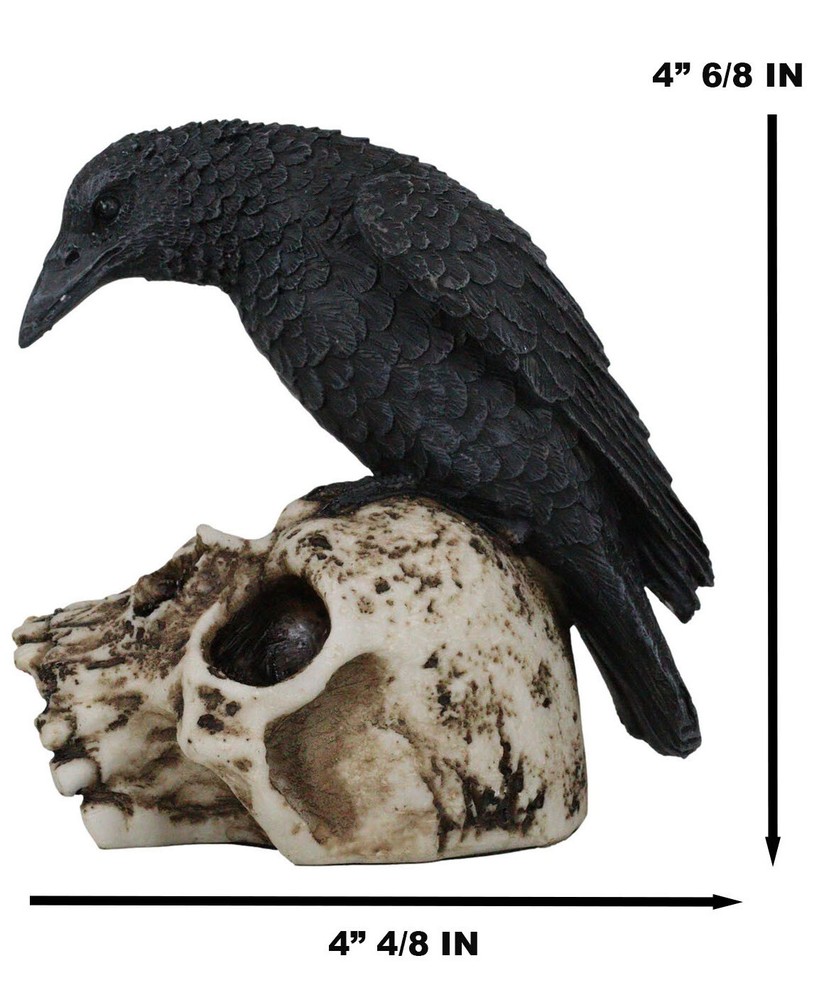 Foreboding Dark Crow Raven On Skull Statue 5"Tall Ossuary Scavenger Raven Bird