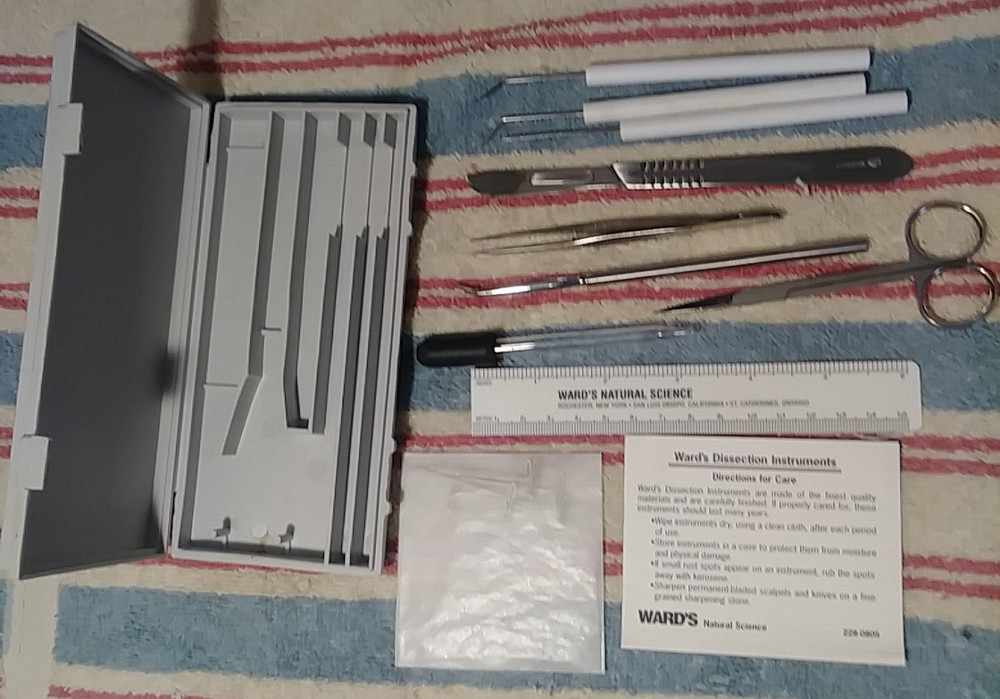 Vintage Wards Dissection Kit Bug  14-0781