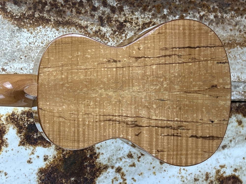Snail Spalted Maple Gloss Concert Ukulele