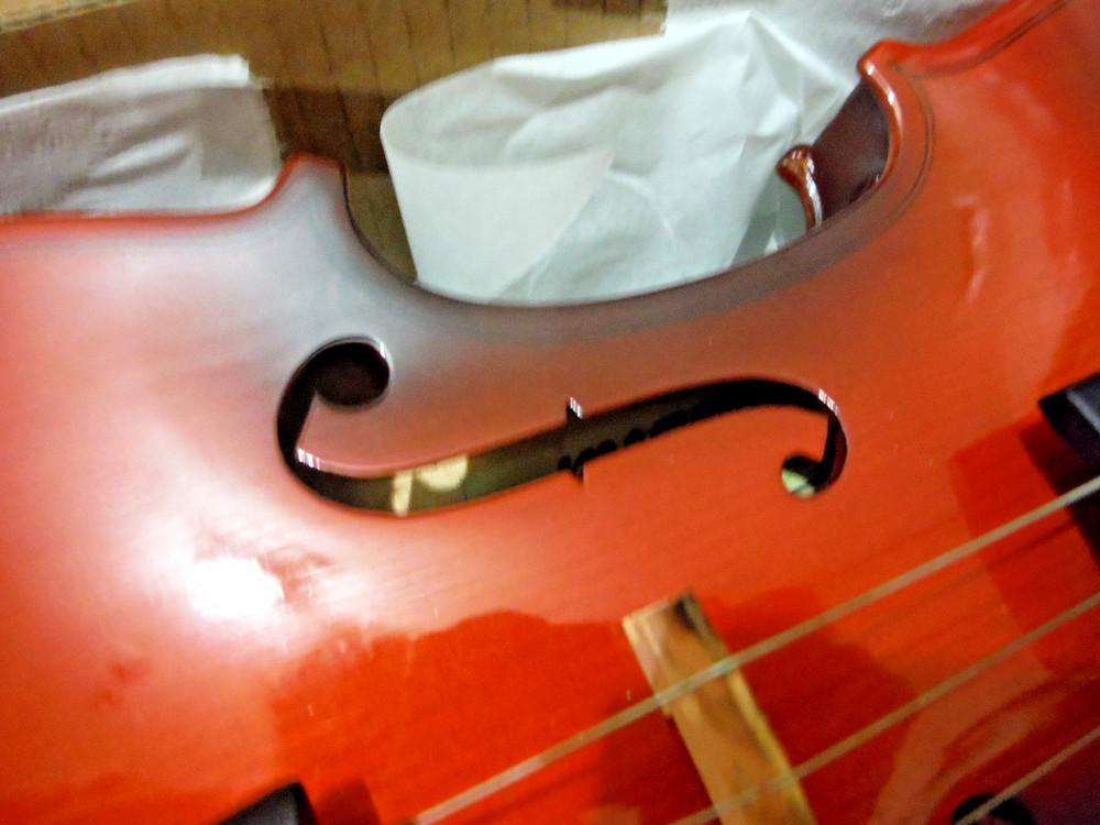 Easter 4/4 Violin NIB