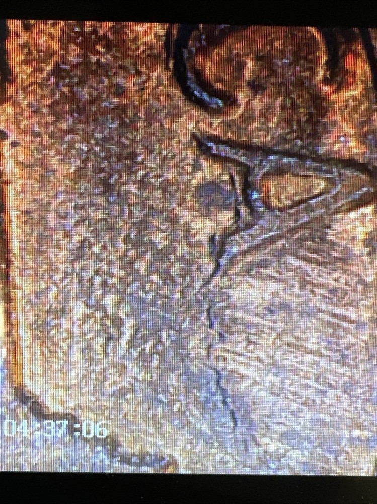 1984 Lincoln Cent With Reverse Clash Die Crack Error
