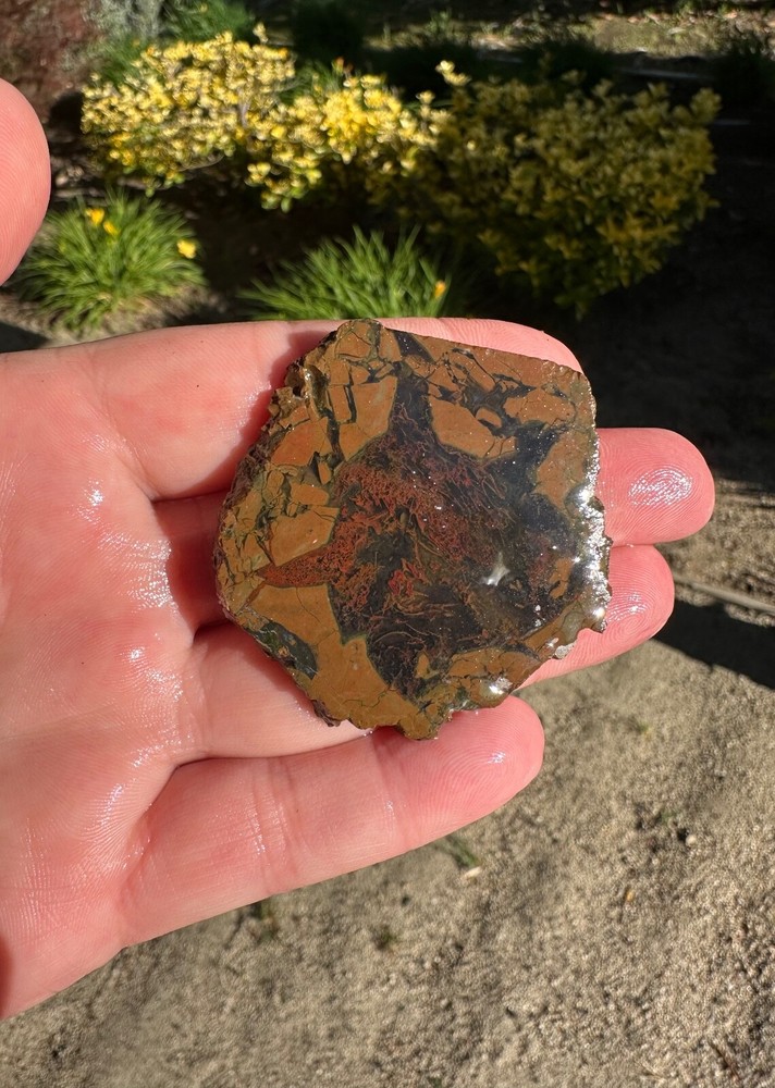 Priday Plume Agate Slice, 25 grams, Thunder-egg, Cabbing/Lapidary