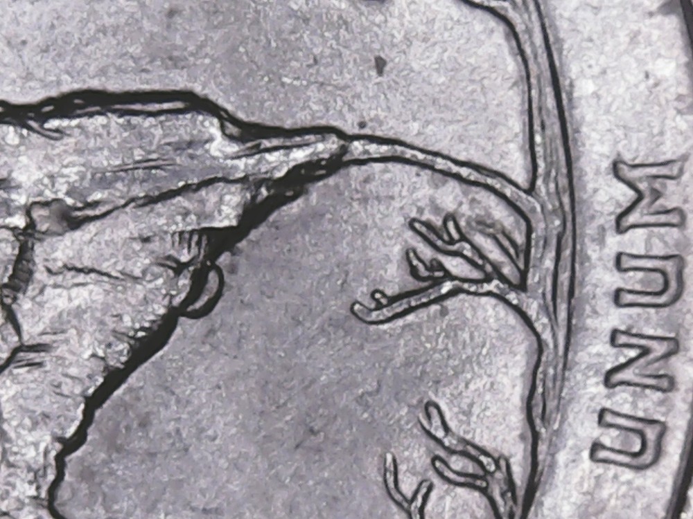 2018 p Pictured Rock ATB Quarter with Die Chips.