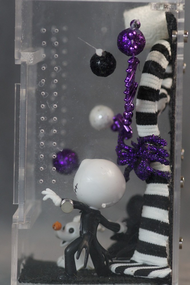 DIY Jumping Spider Enclosure – Custom Decor – Acrylic Case – Needs Sealing