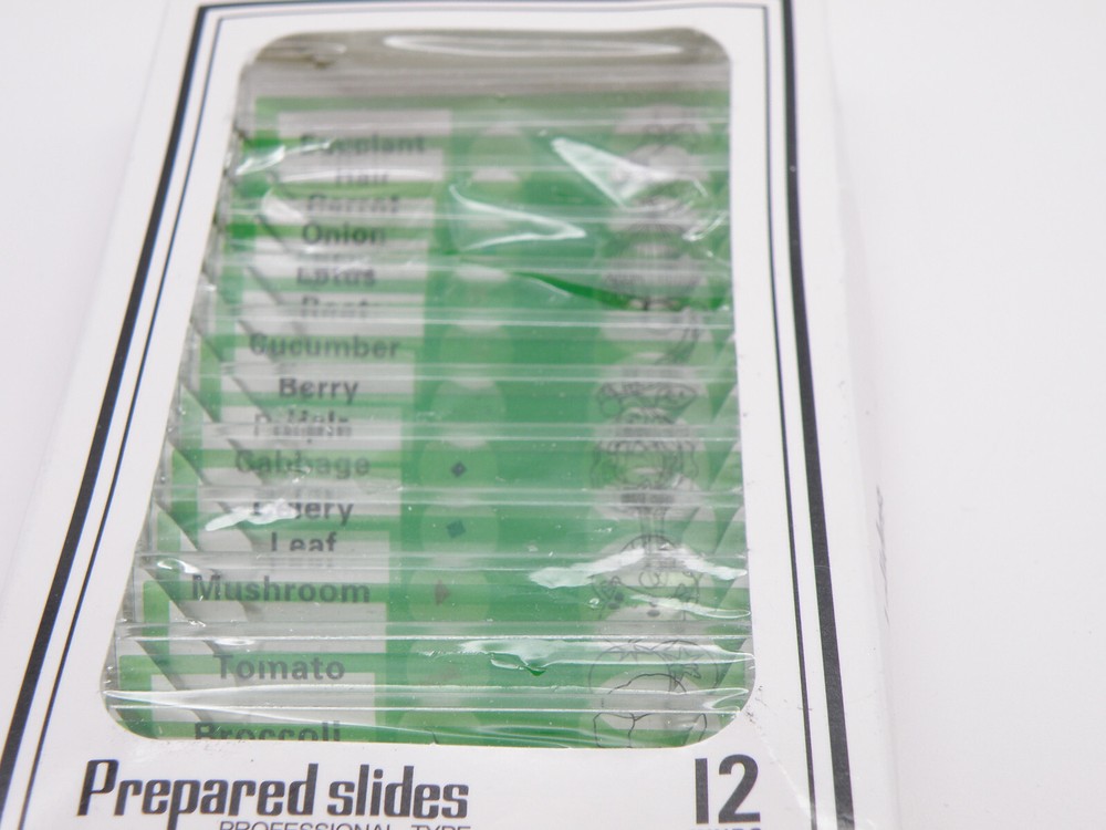 Set of 12 Prepared Plastic Microscope Botanical Slides Professional Type