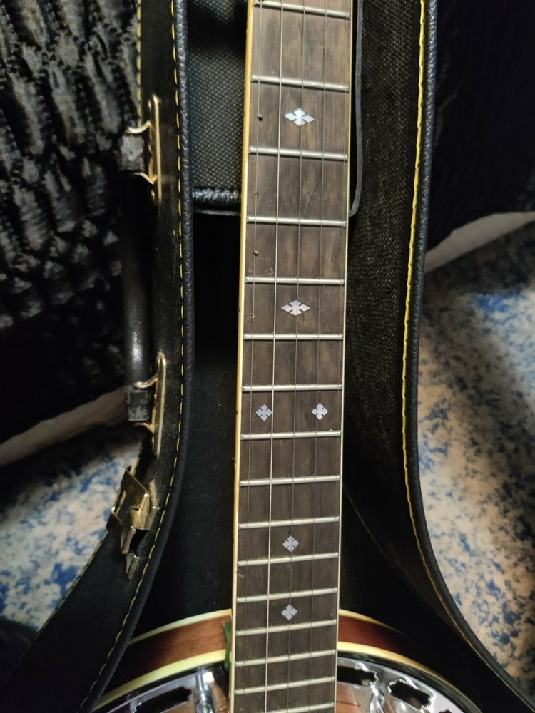 Vintage Alvarez 5 string banjo