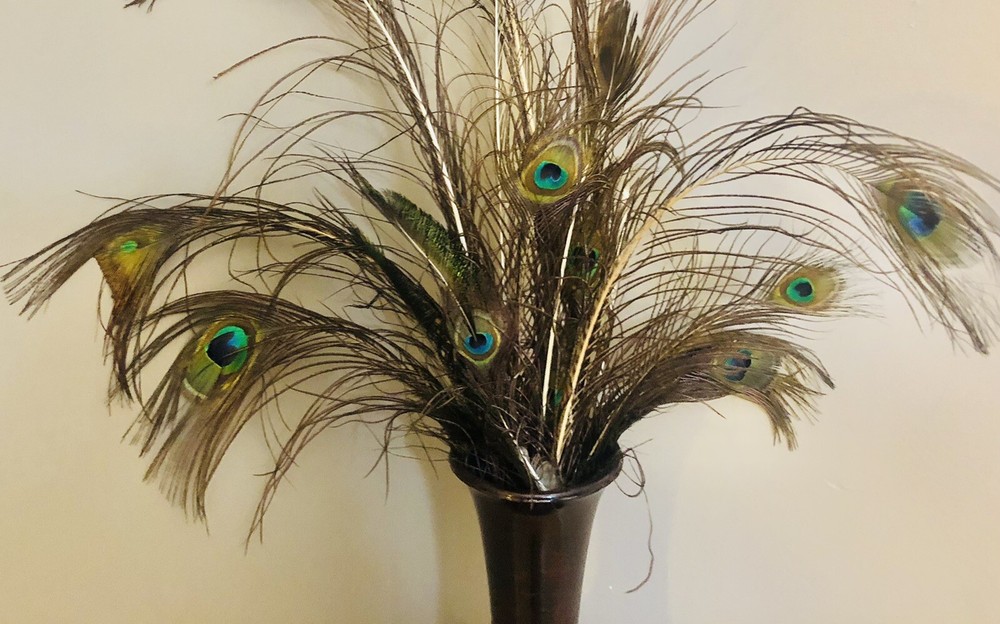 Natural Peacock Tail Feathers (Bunch)