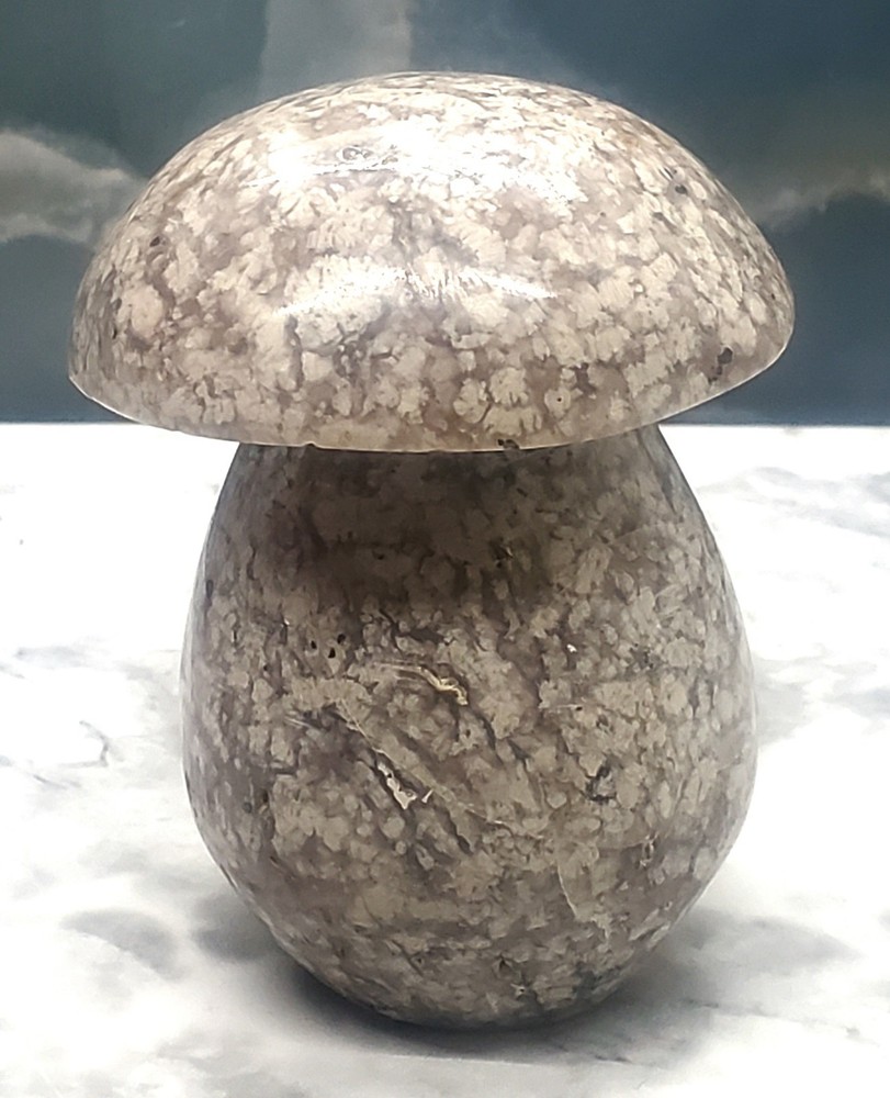 2.8 Inch Large Ocean Jasper Mushroom Carving