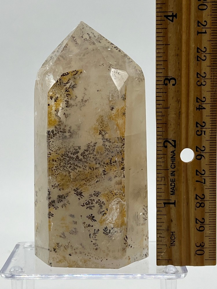 Dendritic Quartz I