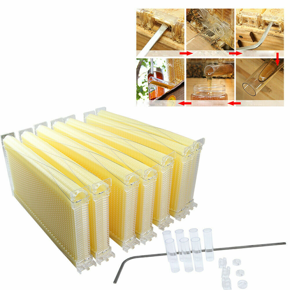 7PCS Auto Beehive Frames Beekeeping Frames Bee Hive Harvest Honey Tool Beekeeper