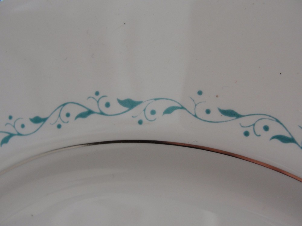 FINTRIDGE TURQUOISE BON LITE 6 5-PIECE PLACE SETTINGS