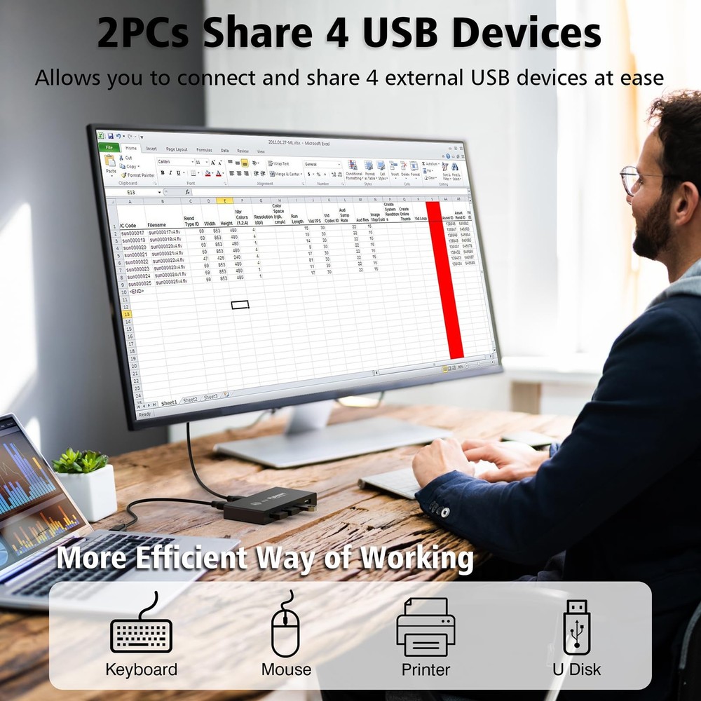 USB Switcher 2 Computers, Switch 2 PC Sharing 4 Devices, 2 in 4 Black