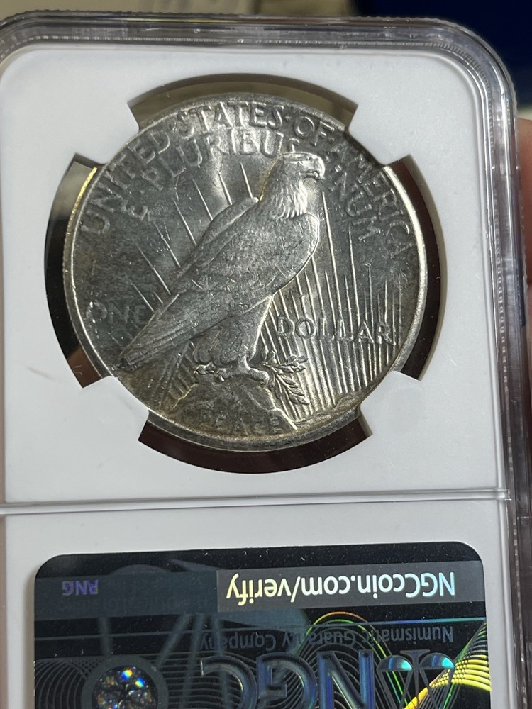 1926 PEACE DOLLAR NGC MS 61