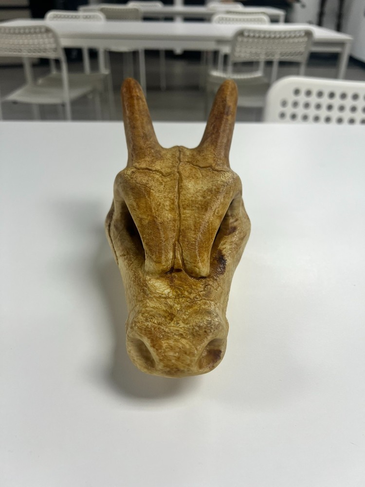 3D Printed Charizard Skull