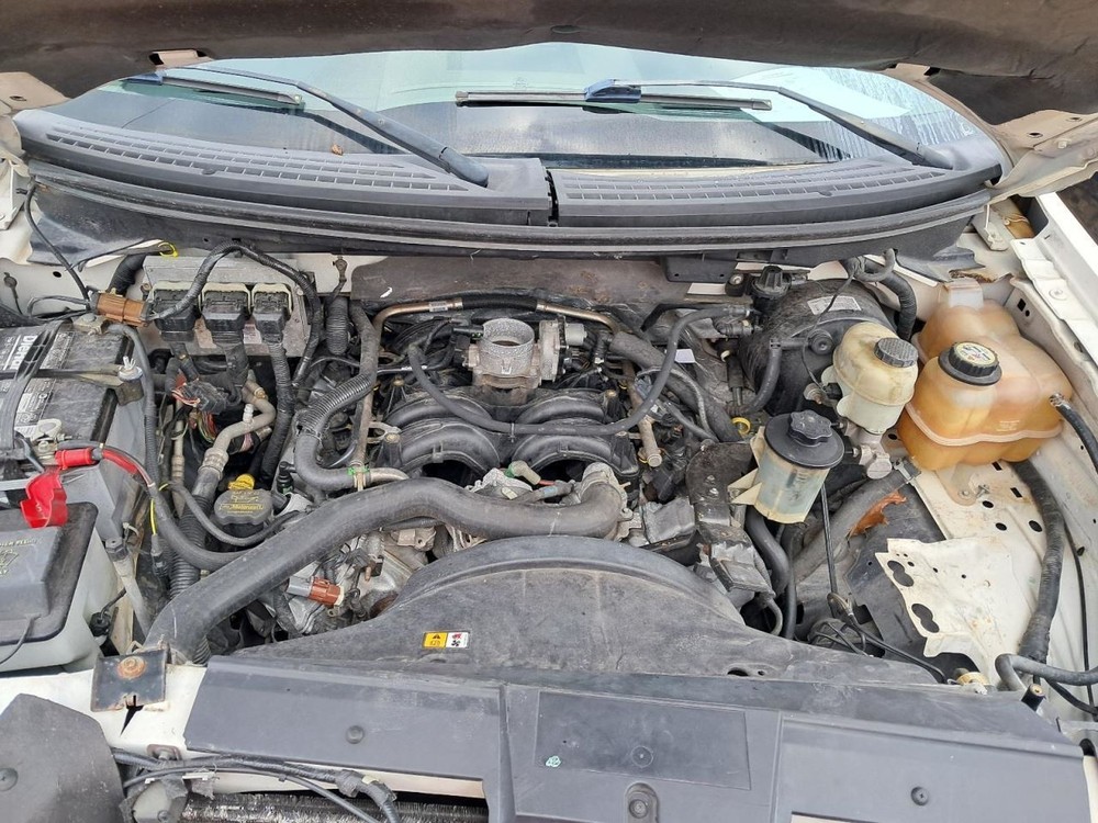 F150 2008 Glove Box 4805712