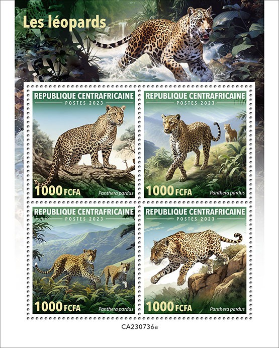 Leopards