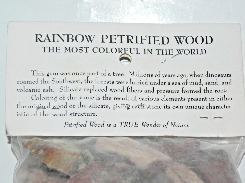 Rainbow Petrified Wood assortment - Free Ship!