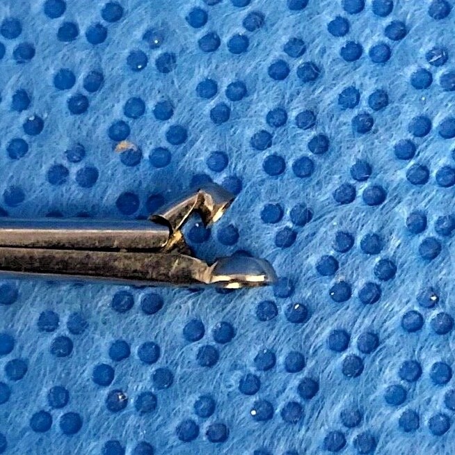 Storz Micro ENT Biopsy Cup Forcep