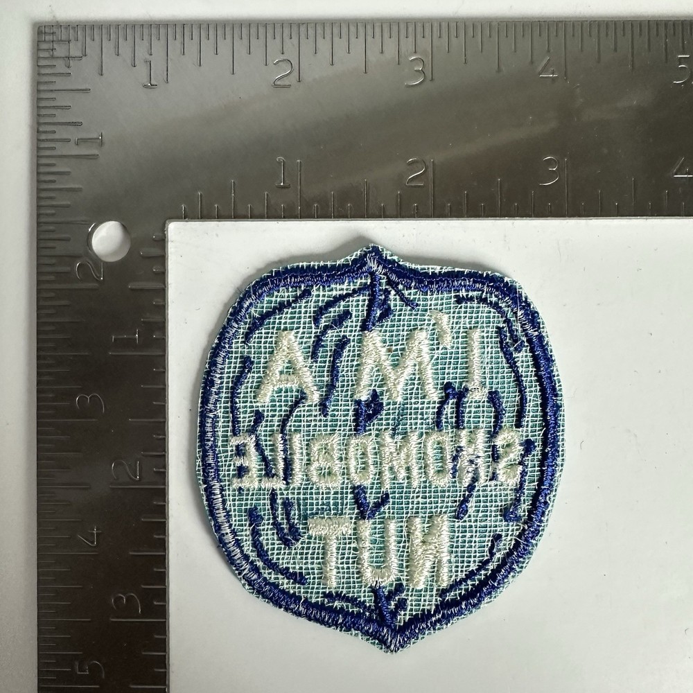 Vintage I'm A Snowmobile Nut Embroidered Sew On Patch