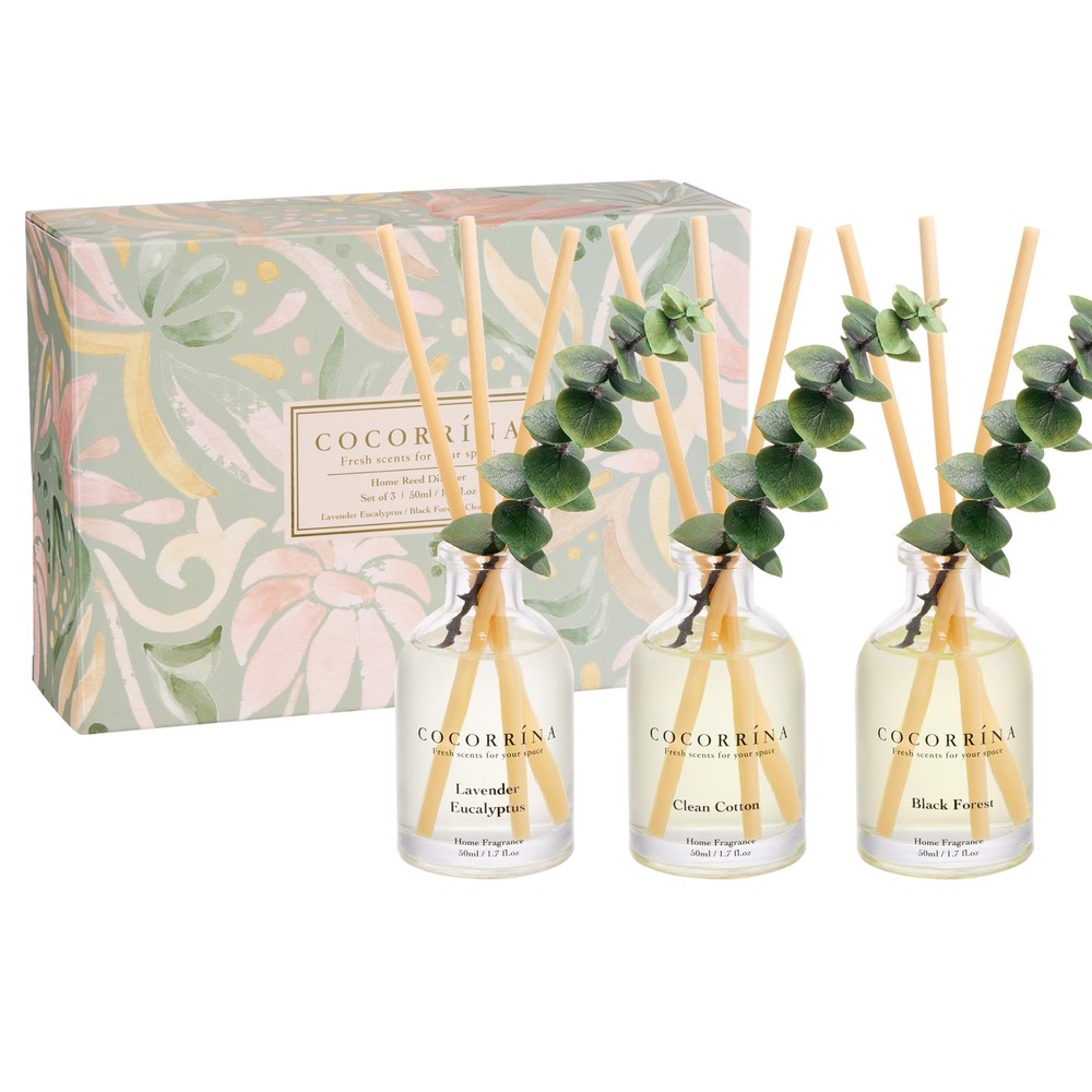 COCORRÍNA Eucalyptus Reed Diffuser Set of 3 - Lavender Eucalyptus, Clear