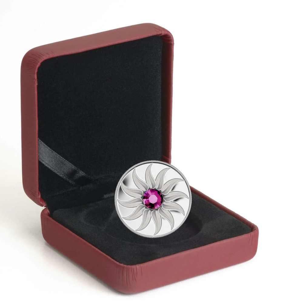 2011 Birthstone Collection January Silver coin