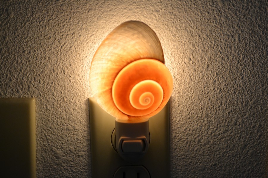 BROWN LANDSNAIL SEA SHELL NIGHTLIGHT